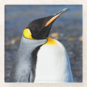 Dessous-de-verre En Verre Penguin Portrait