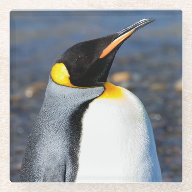 Dessous-de-verre En Verre Penguin Portrait (Devant)