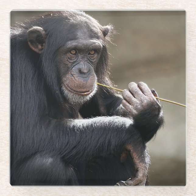 Dessous-de-verre En Verre Pensez À Monkeying (Devant)