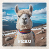 Pérou Llama