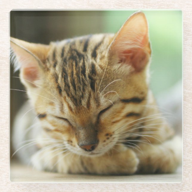 Dessous-de-verre En Verre Petit bébé de sommeil Kitty (Devant)