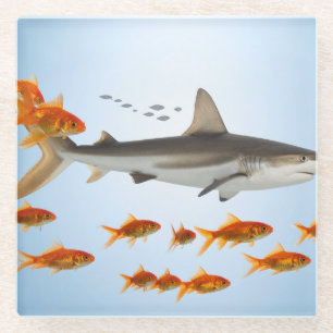 Dessous-de-verre En Verre « Petit poisson rouge, grosse énergie de requin »