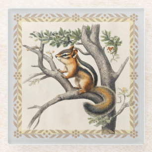 Dessous-de-verre En Verre Petite petite chipmunk vintage illustration