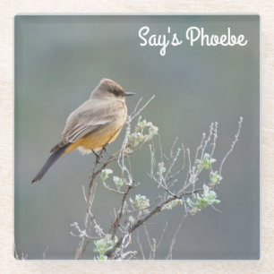 Dessous-de-verre En Verre Phoebe de Say