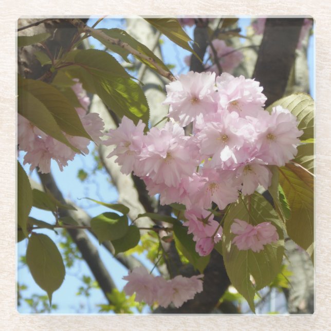 Dessous-de-verre En Verre Photo cerise en fleurs (Devant)