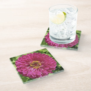 Dessous-de-verre En Verre Photo de fleur de Zinnia vive