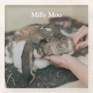 Dessous-de-verre En Verre Photo personnalisée pour animal de compagnie