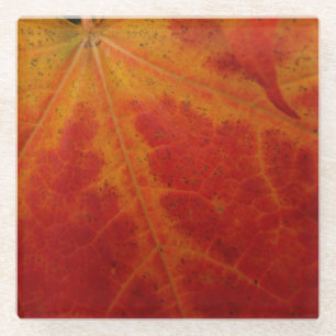 Dessous-de-verre En Verre Photographie abstraite de la feuille d'érable roug
