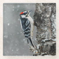 Pic Downy en neige - Photo originale