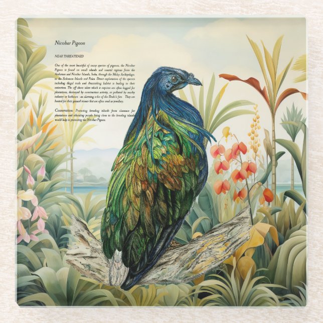 Dessous-de-verre En Verre Pigeon Nicobar Peint À La Main Dramatique (Devant)