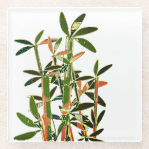 Dessous-de-verre En Verre Plantes chinois Lucky Bamboo. Art moderne