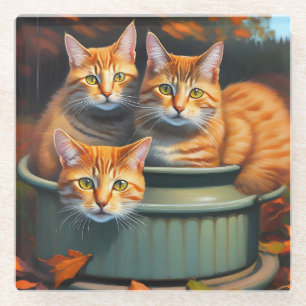 Dessous-de-verre En Verre Plantes de pots de chats de gingembre, Dessous de 