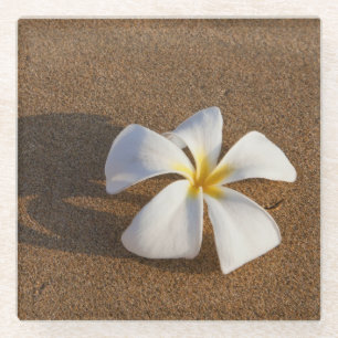 Dessous-de-verre En Verre Plumeria sur une plage de sable, Maui, Hawaï, État