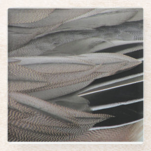 Dessous-de-verre En Verre Plumes de canard Photo moderne Black Grey Nature