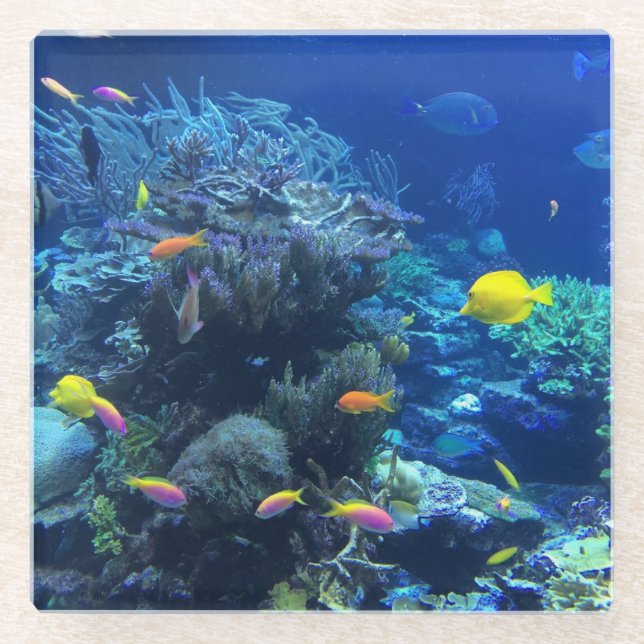 Dessous-de-verre En Verre Poissons tropicaux jaunes (Devant)