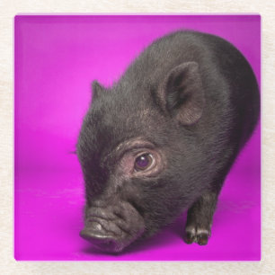 Dessous-de-verre En Verre Porc noir de bébé