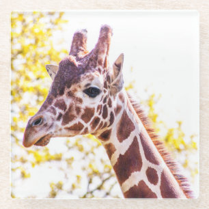 Dessous-de-verre En Verre Portrait de Giraffe