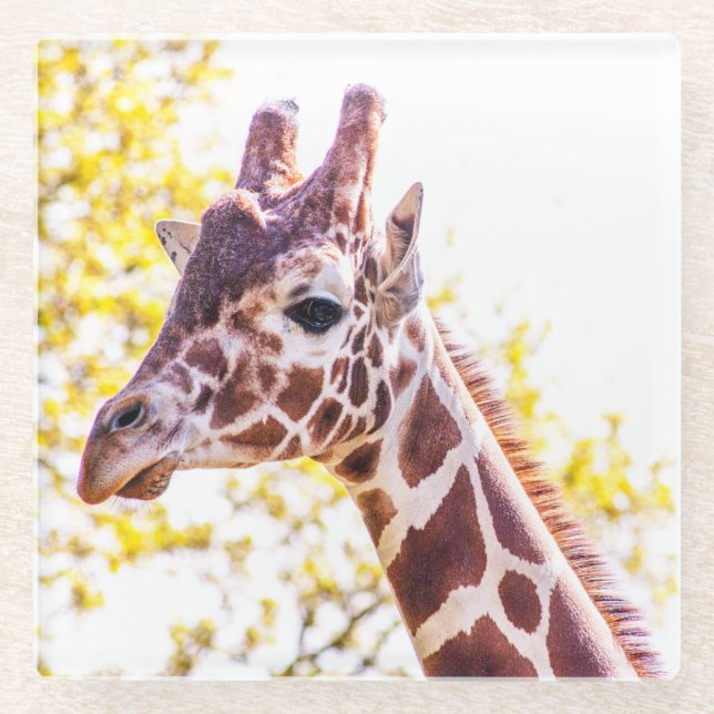 Dessous-de-verre En Verre Portrait de Giraffe (Devant)