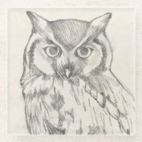 Portrait de hibou - Croquis