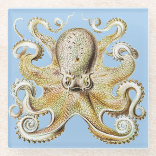 Dessous-de-verre En Verre Poulpe vintage Ernst Haeckel Vie marine nautique