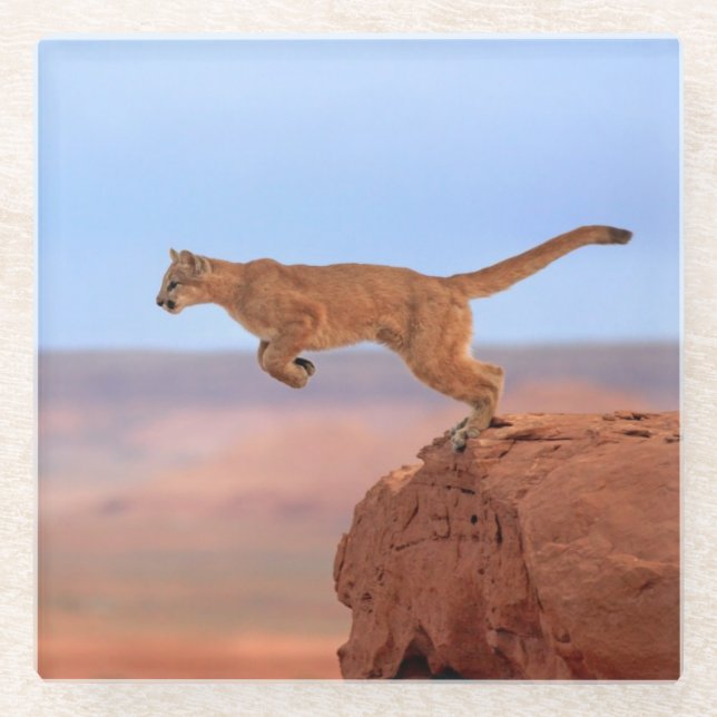 Dessous-de-verre En Verre Puma (Devant)