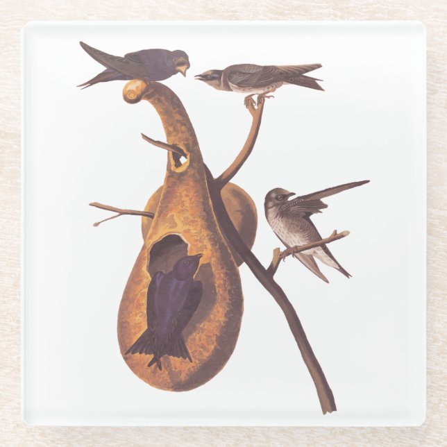 Dessous-de-verre En Verre Purple Martin Audubon Bird Famille et Gourd Accuei (Devant)