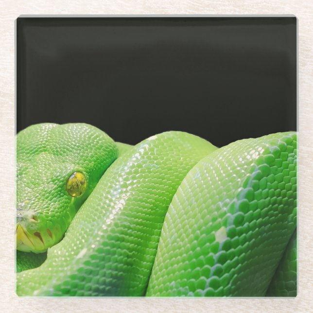 Dessous-de-verre En Verre python vert (Devant)