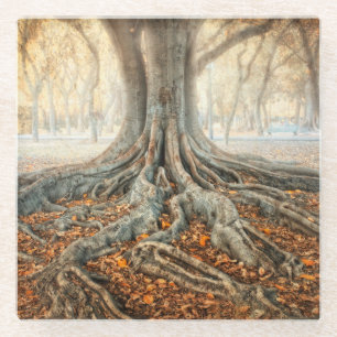 Dessous-de-verre En Verre Racines antiques d'arbre