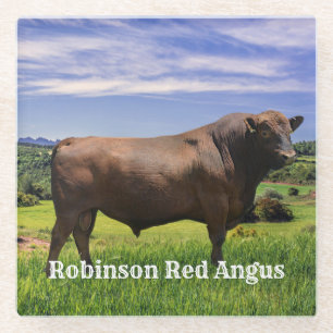 Dessous-de-verre En Verre Red Angus Bull