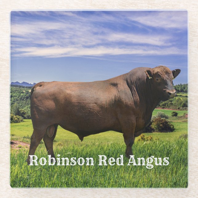 Dessous-de-verre En Verre Red Angus Bull   (Devant)
