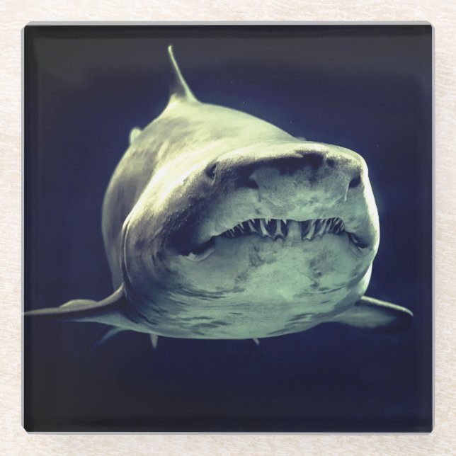 Dessous-de-verre En Verre Requin (Devant)
