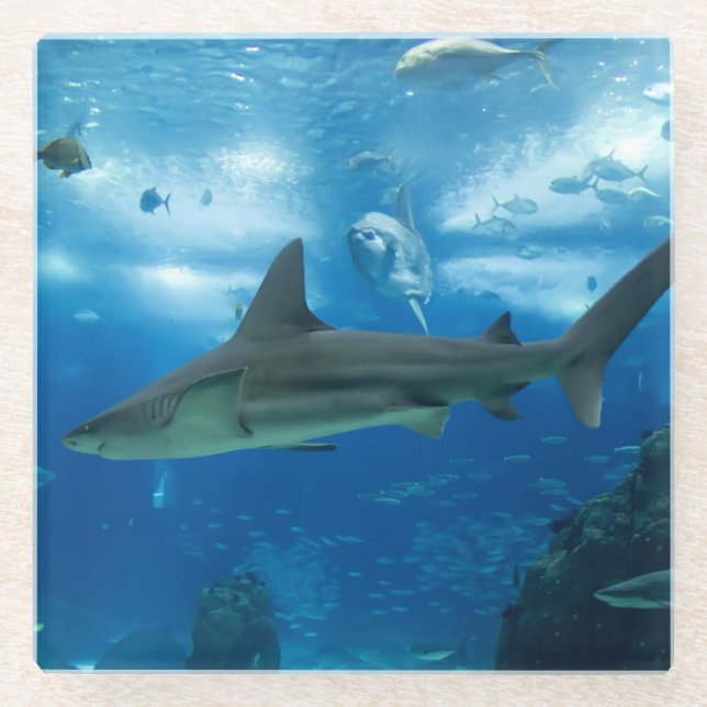 Dessous-de-verre En Verre Requins-Dessous de verre en verre (Devant)