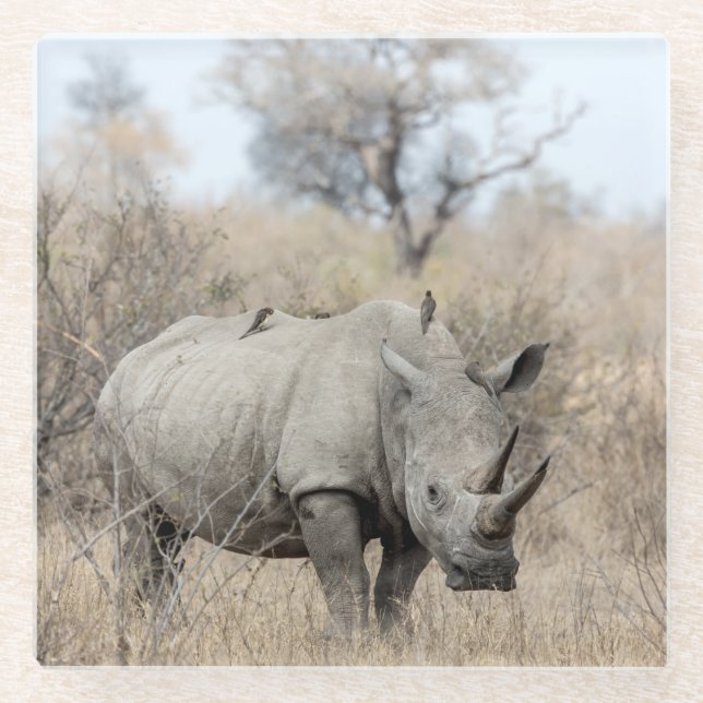 Dessous-de-verre En Verre Rhino blanc (Devant)