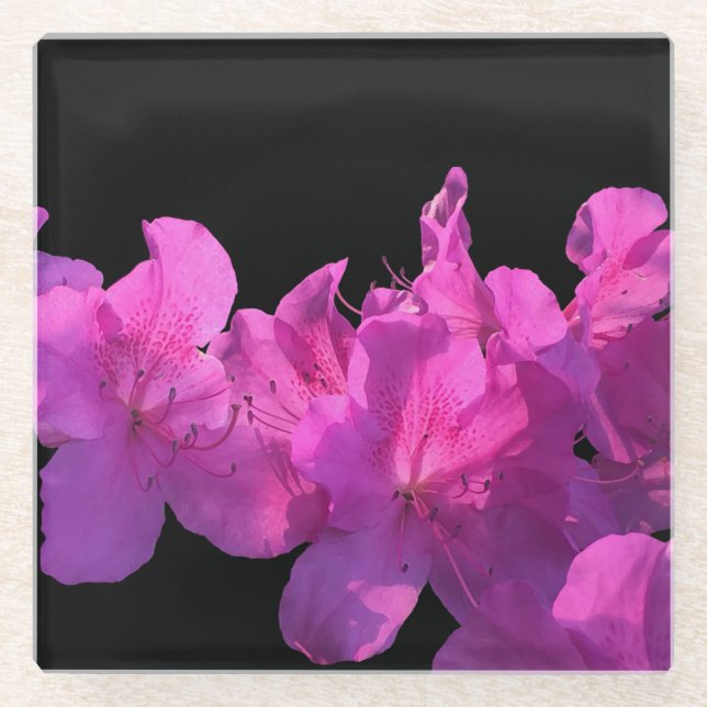 Dessous-de-verre En Verre Rhododendron (Devant)
