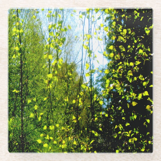 Dessous-de-verre En Verre Rideau d'été (Devant)