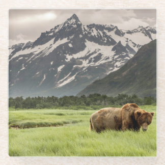 Dessous-de-verre En Verre Rive de l'Alaska, grizzli