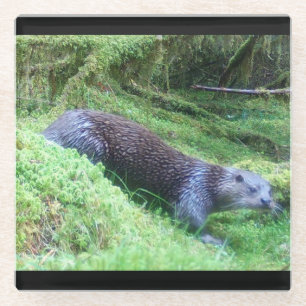 Dessous-de-verre En Verre Scène de la nature avec loutre paisible dans l'eau
