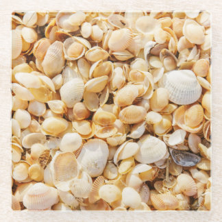 Dessous-de-verre En Verre Seashell texturé arrière - plan de plage d'été.