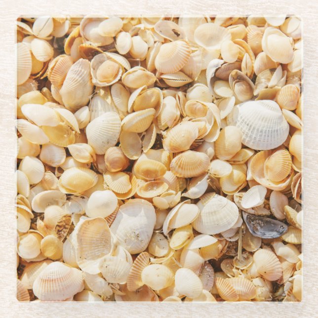 Dessous-de-verre En Verre Seashell texturé arrière - plan de plage d'été. (Devant)