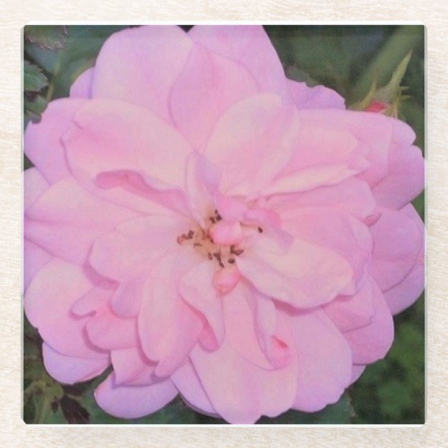 Dessous-de-verre En Verre S'est levé (Devant)