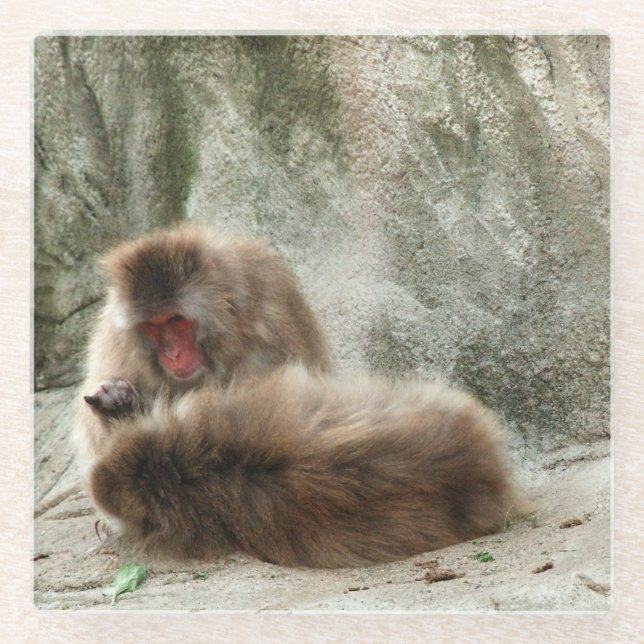 Dessous-de-verre En Verre Singes (Devant)