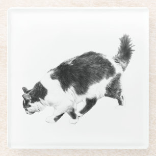 Dessous-de-verre En Verre Sondage de chats dans les ombres d'automne