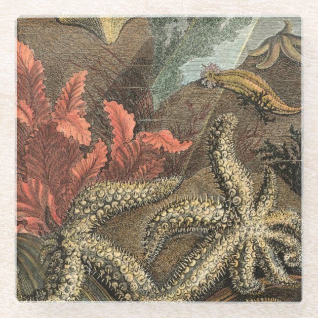 Dessous-de-verre En Verre Sous la mer (Devant)