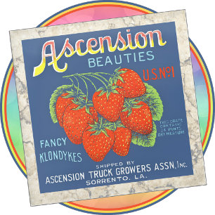 Dessous-de-verre En Verre Sous-verre en verre - Beautés de l'Ascension - Éti