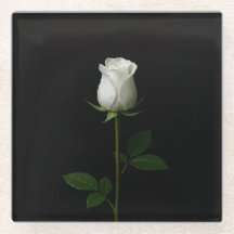 Sous-verre en verre noir 4 Luxe, Rose blanche pure