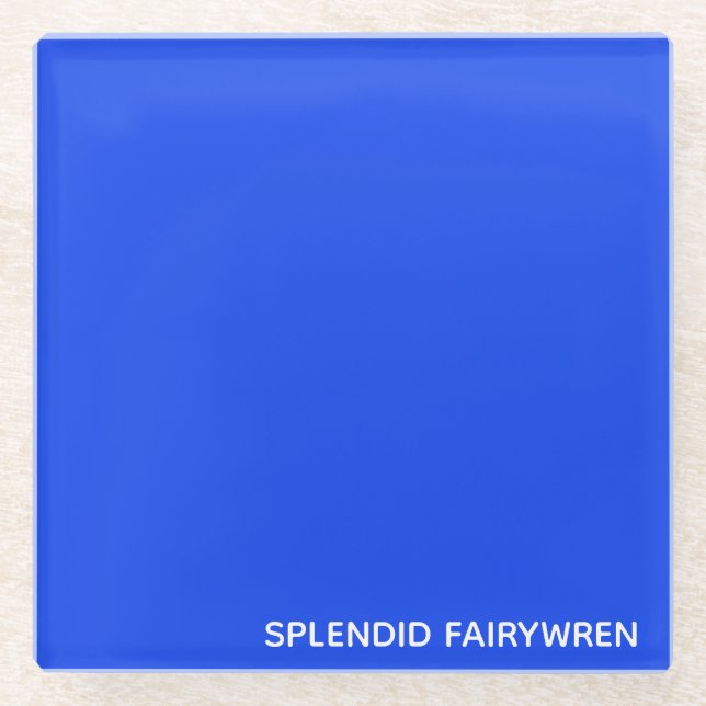 Dessous-de-verre En Verre Splendid Fairywren Blue Colour (Devant)