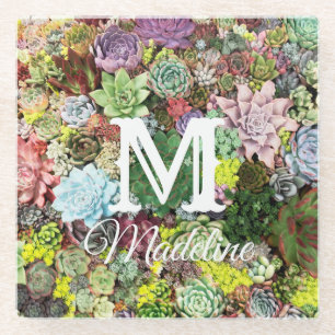 Dessous-de-verre En Verre Succulents colorés