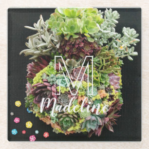 Dessous-de-verre En Verre Succulents décoratifs