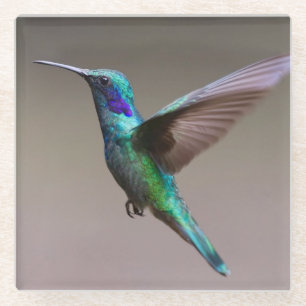Dessous-de-verre En Verre Superbe colibri en vol
