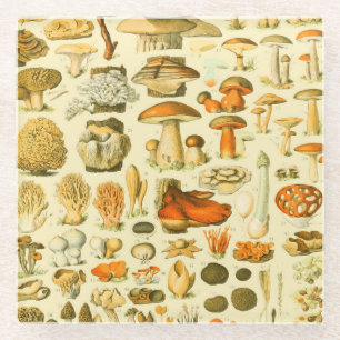 Dessous-de-verre En Verre Tabouret de toilette Vintage de champignons Illust